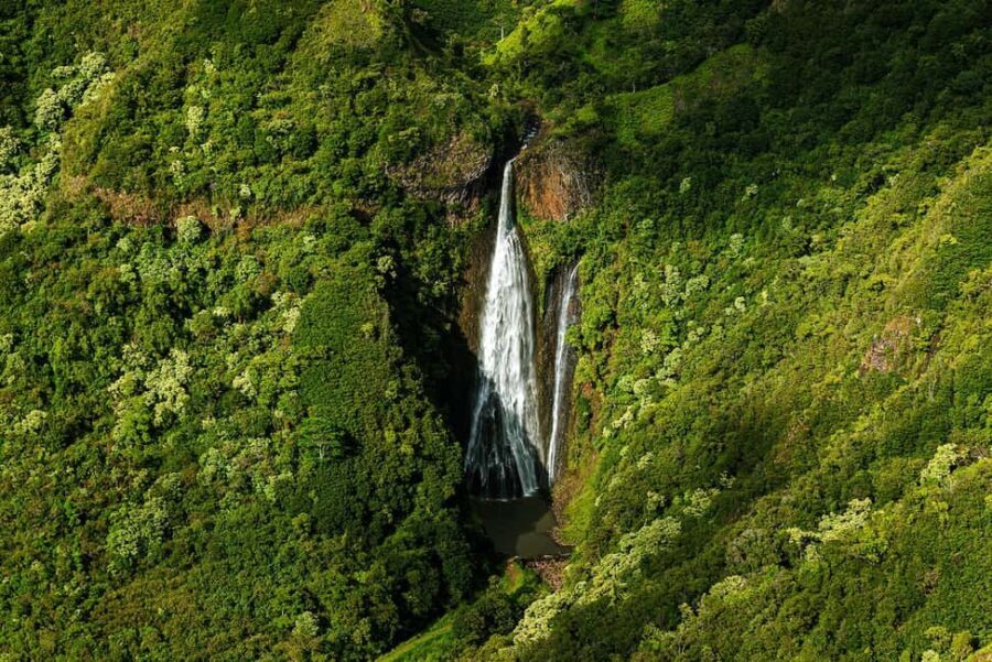 Kauai: Hughes 500 4-Passenger Doors-Off Helicopter Flight - What Makes This Tour Stand Out?
