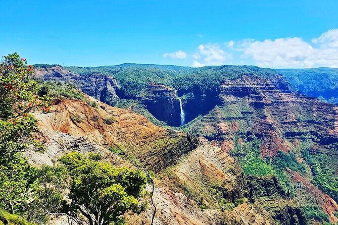 Kauai Island Private Guided Tour-Waimea Canyon from Lihue/Kapaa - The Experience: Comfort, Flexibility, and Authenticity