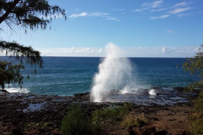 Kauai Island - Private Tour : Waimea Canyon and Southside - What’s Included and What You Should Know