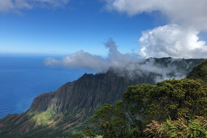 Kauai Island Tour : Journey to Waimea Canyon & More Highlights - What to Expect from the Kauai Island Tour