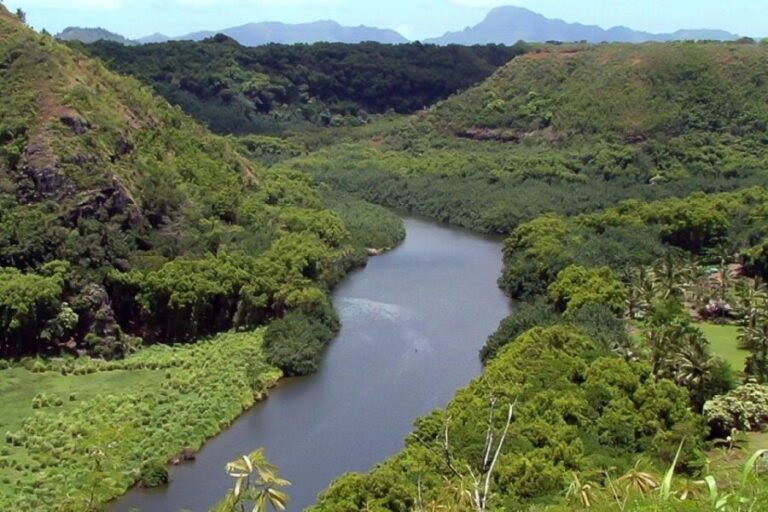 Kauai Northeast Tour, Fern Grotto River Cruise & Lighthouse - Final Thoughts: Is This Tour Right for You?