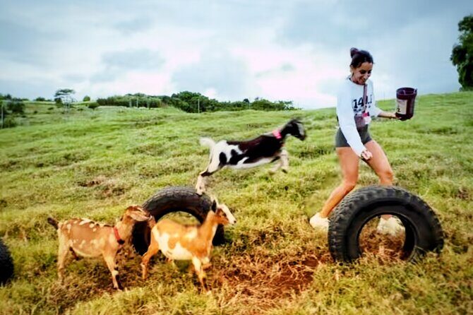 Kauai Private Baby Farm Animal Experience & Micro Dairy Immersion - What Reviews Reveal