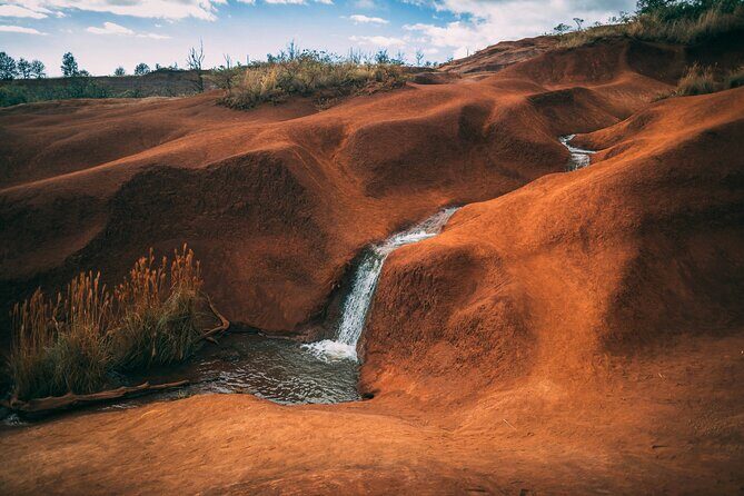 Kauai Private Guided Tour to Waimea Canyon from Nawiliwili - Authentic Experiences and Real Traveler Feedback