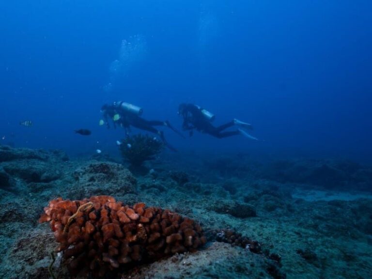 Kauai: Shore Diving at Koloa Landing, Poipu - Why This Tour Offers Great Value