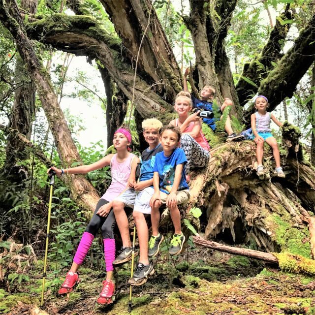Kauai: Waimea Canyon & Kokee State Park Private Tour - The Itinerary: What You Can Expect