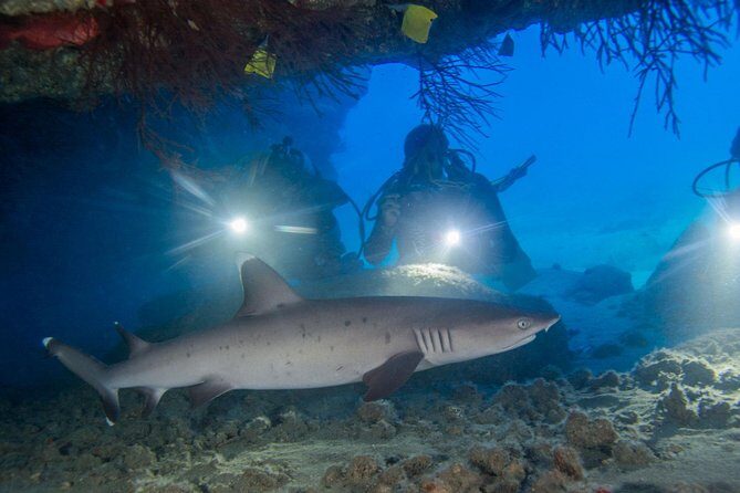 Kauai's Ultimate Boat 2 Tank Adventure Dive Certified Divers Only - Practical Details & Included Amenities
