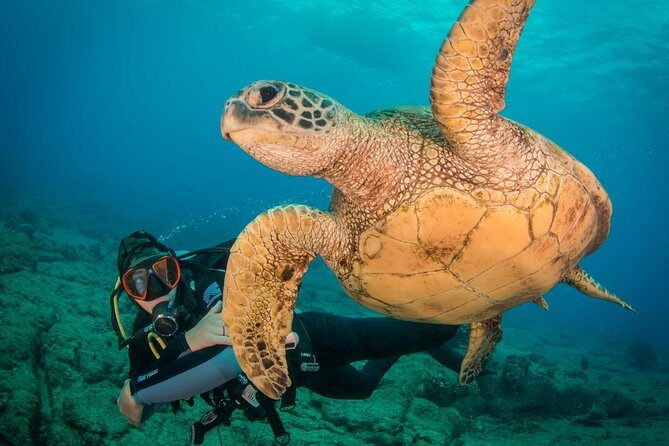 Kauai's Ultimate Discover Scuba Dive - OCEAN EXPERIENCE (1 Tank Dive) - What Makes This Tour Stand Out?
