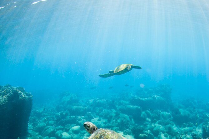 Kauai's Ultimate Guided Shore Snorkel (NO BOAT): North Anini - The Experience at North Anini Beach: What You Can Expect