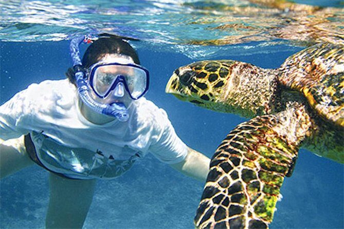 Kauai's Ultimate South Island Zodiac Boat Snorkel Adventure - The Practicalities and What to Expect