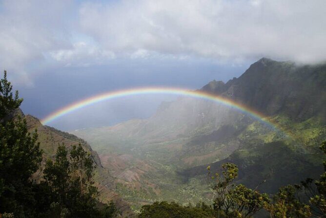 Kauai's Waimea Canyon and South Side Private Guided Tour - Additional Local Touches
