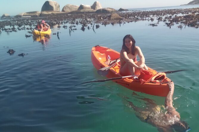 Kayak Adventure at Clifton Beach - Insights from Participants