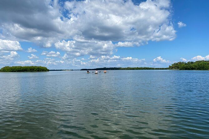 Kayak Adventure at Shell Key Preserve in Tierra Verde - What to Expect on the Shell Key Preserve Kayak Tour