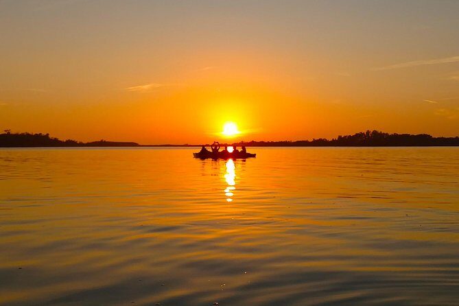 Kayak Adventure of Shell Key Preserve & Island with a Local - Discover the Kayak Adventure of Shell Key Preserve & Island with a Local
