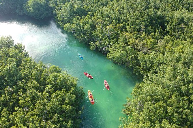 Kayak adventure through Laguna Nichupté in Cancun - The Itinerary: A Closer Look