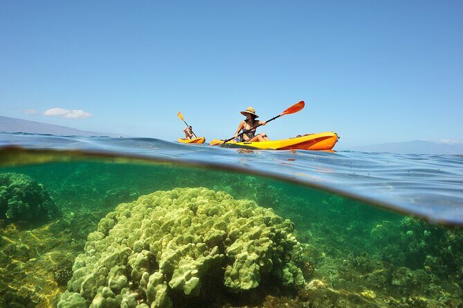Kayak and Snorkel: Maui West Shore - The Real Experience: What Travelers Say