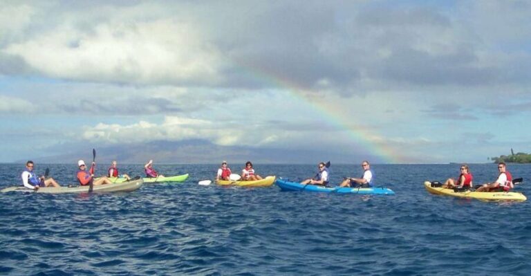 Kayak and Snorkel West Maui at Olowalu - The Value of Guided Tours