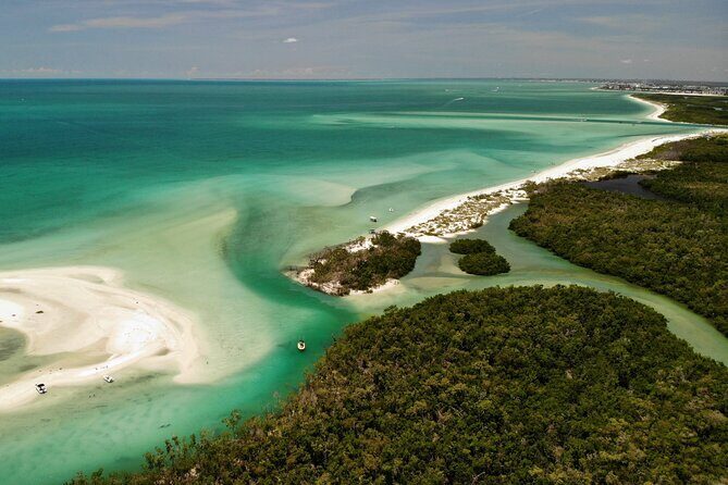 Kayak and SUP Rentals - Big Hickory Island - Fort Myers Beach, FL - Wildlife and Scenic Highlights