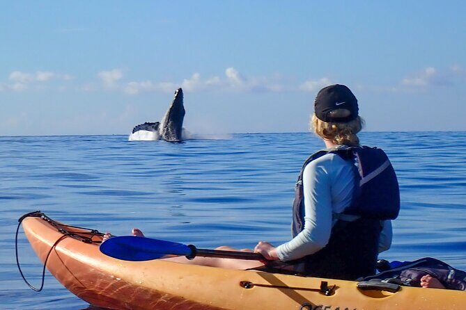 Kayak and Whale Watching Tour - Who Will Love This Tour?