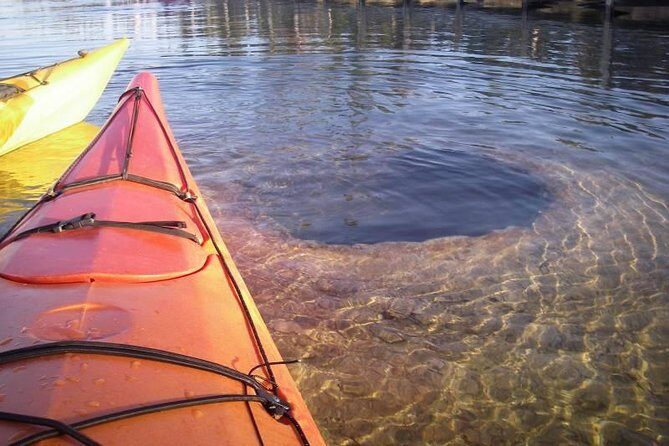 Kayak Day Paddle on Yellowstone Lake - The Lunch and Amenities
