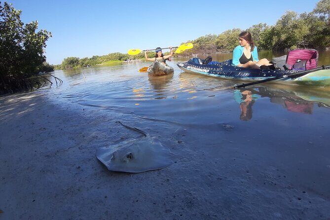 Kayak Experience in the Mangroves of Holbox Island - The Experience Itself