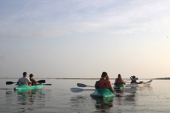 Kayak Mangroves Sunrise Experience - What the Tour Includes — And What It Doesn’t