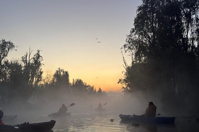 Kayak one more Sunrise Adventure in Xochimilco - Who Will Love This Tour?