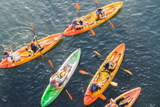 Kayak Rentals on Lady Bird Lake - The Practical Side: Logistics and Value