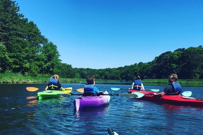 Kayak The Creek Nature Tour - Who Will Love This Tour?