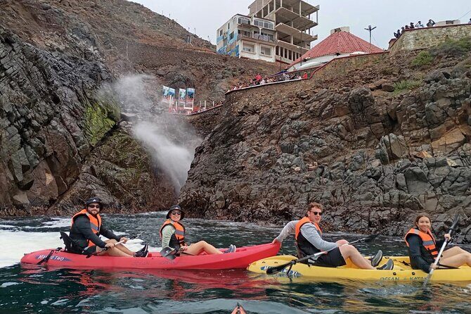 Kayak The Jacket and Flea market Private Tour - What to Expect from the Itinerary
