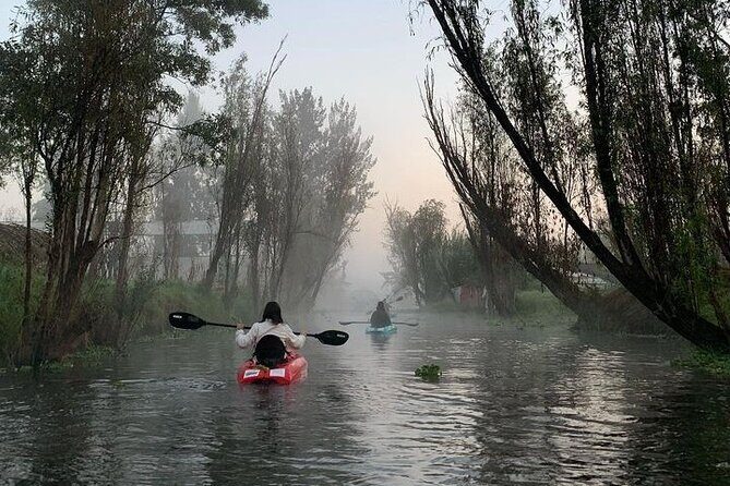 Kayak to the Island of the dolls, Transport and breakfast - Who Would Love This Tour?