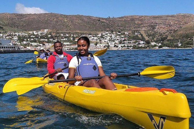 Kayak to the penguins in Simons Town - The Value of Guided Tours