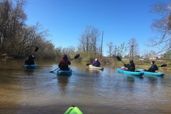 Kayak Tour Of The Honey Island Swamp and Backwaters - Why This Tour Works Well