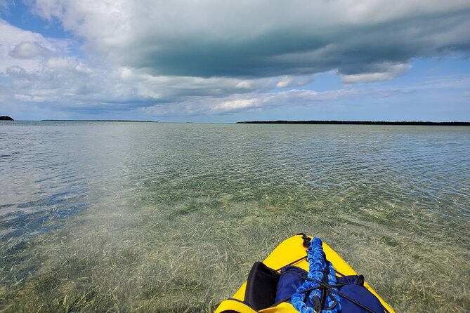 Kayak Trip, 1 Wet Hike + 2 dry hikes in Everglades National Park - Transportation, Group Size, and Practical Tips