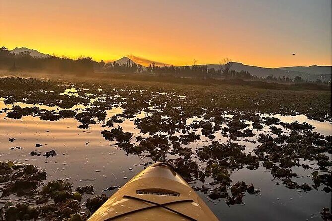 Kayaking adventure through the Xochimilco and Frida Kahlo Canals - The Charm of San Angel