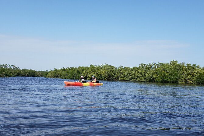 Kayaking Backwaters of New Smyrna Beach Ecotour/Birdwatching - Who Will Love This Experience?