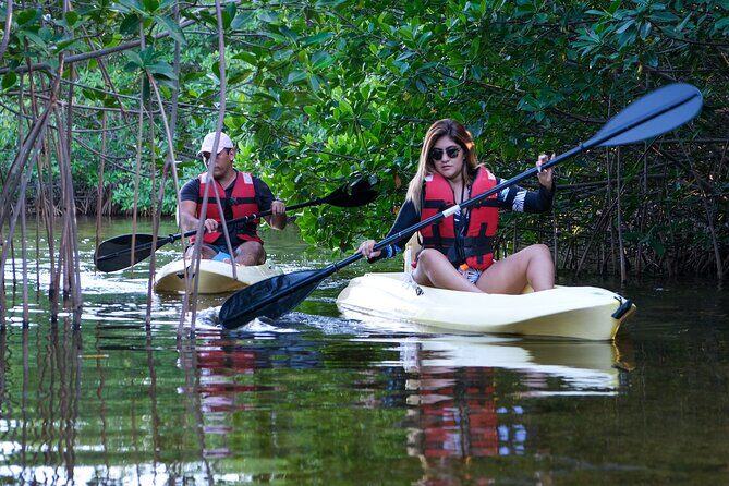 Kayaking Tour in Cancun - FAQ: Your Practical Questions Answered