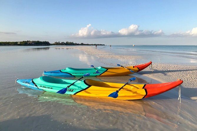 Kayaking Tour Through the Mangroves in Isla Holbox - The Sum Up