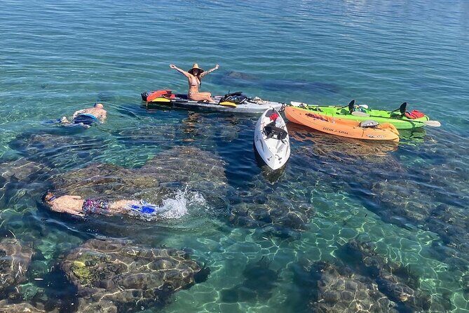 Kayaking with Sea Lions in a Calm Beautiful Harbor - The Itinerary: What to Expect