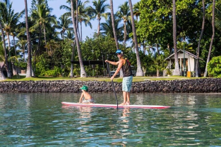 Kealakekua Bay: Stand-Up Paddleboard Lesson or Tour - Itinerary Breakdown