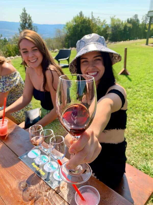 Kelowna: East Kelowna Full Day Guided Wine Tour - Who Should Consider This Tour?