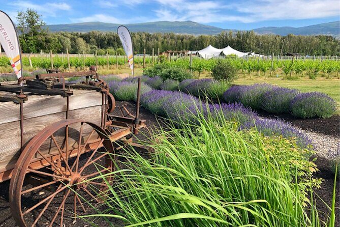 Kelowna Guided E-Bike Wine Tour with Tastings and Okanagan Lunch - What the Reviews Say