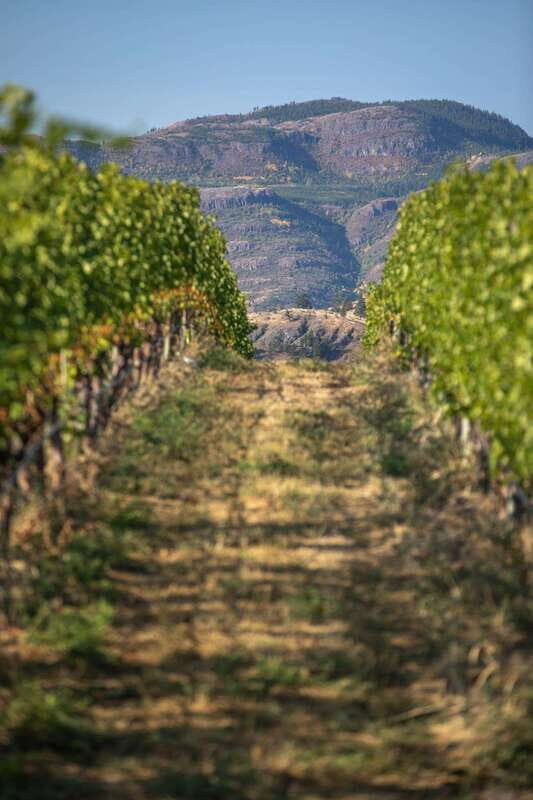 Kelowna: Lake Country Half Day Guided Wine Tour - Who Should Consider This Tour?