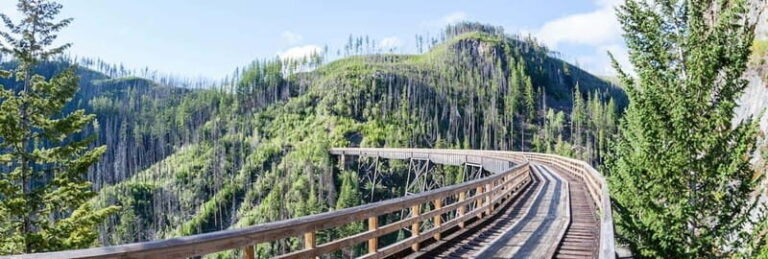 Kelowna: Myra Canyon E-Bike Tour - Who Will Love This Tour?