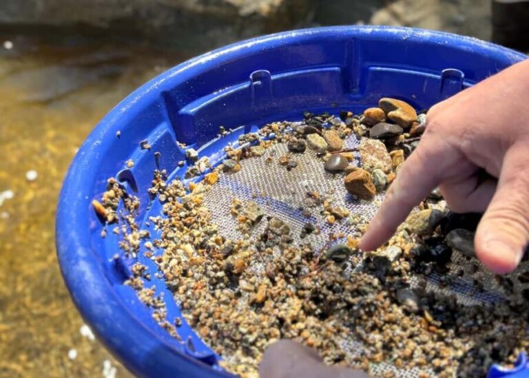 Kelowna: Okanagan Gold Panning Experience at Scenic Canyon - Practical Details and Considerations