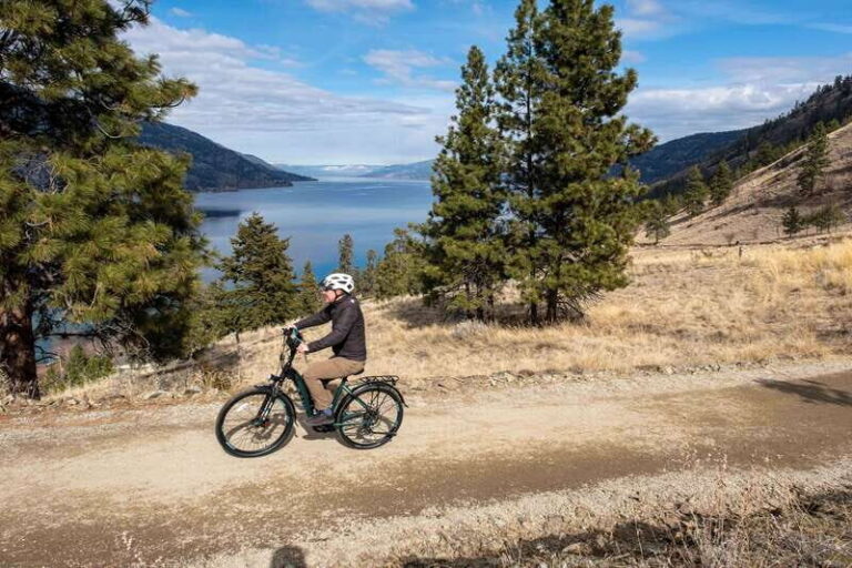 Kelowna: Okanagan Lake Guided E-Bike Tour with Picnic - Who Should Consider This Tour?