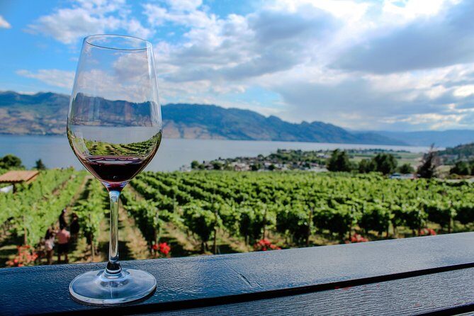 Kelowna or West Kelowna Afternoon Sightseeing Wine Tour - What You Can Expect in Terms of Experience