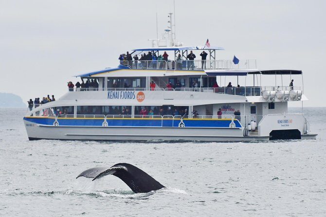 Kenai Fjords National Park Glacier & Wildlife Cruise - Pricing and Value