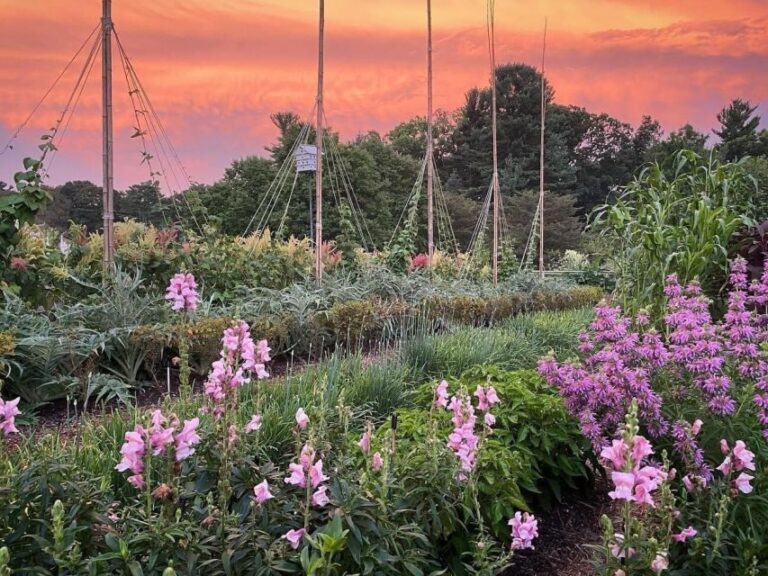 Kennett Square: Longwood Gardens Admission Ticket - The Experience: What You’ll Love