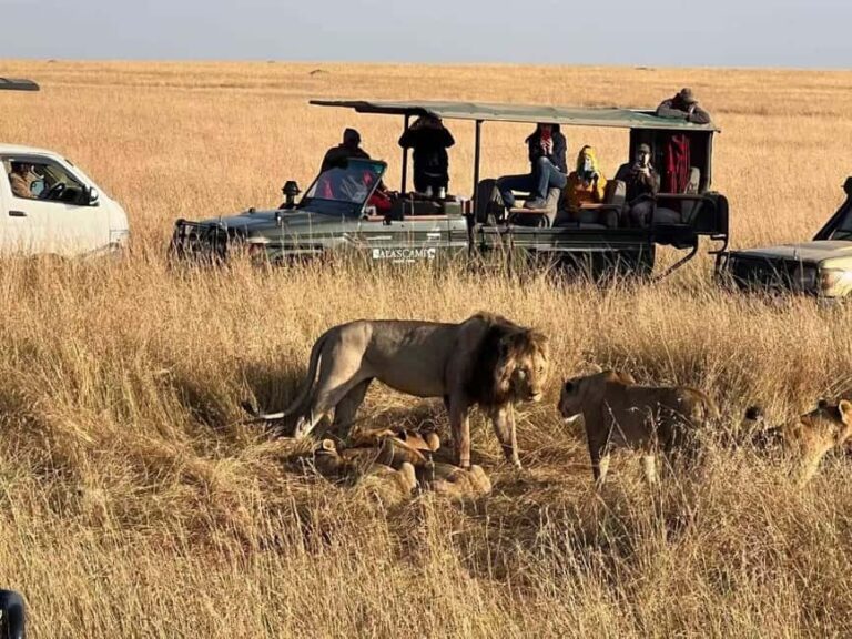 Kenya: 5-Day Maasai Mara & Lake Nakuru Camping Safari - Whats Included and What to Budget for