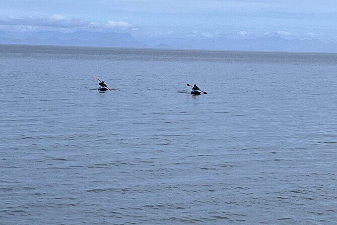 Keogh River Bear Kayaking Tour - An In-Depth Look at the Keogh River Bear Kayaking Tour
